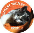 Naklejki dzielny pacjent - koty