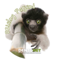 Naklejki dzielny pacjent - małpki