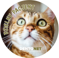 Naklejki dzielny pacjent - koty