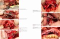 Mistrzowie Stomatologii e-Dentico 70