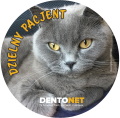 Naklejki dzielny pacjent - koty